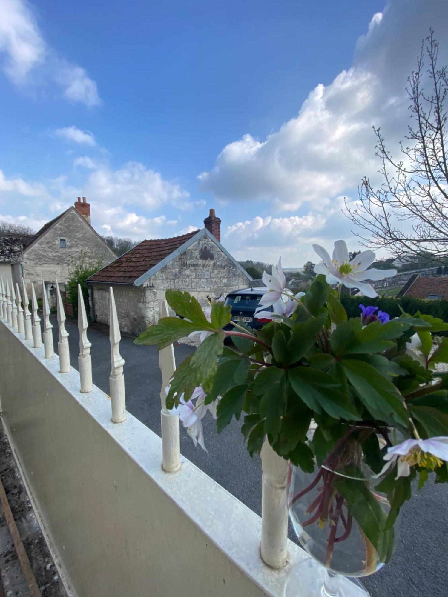 Bed and Breakfast Le Manoir Des Roches Bourré Exterior foto